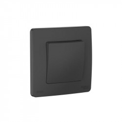 Переключатель 1-кл. СП Blanca 10А IP44 (сх.6) 250В антрацит SE BLNVS410606
